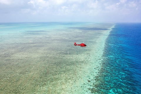 Ultimate Great Barrier Reef And Rainforest 45-minute Helicopter Tour - Palm Beach Accommodation 5
