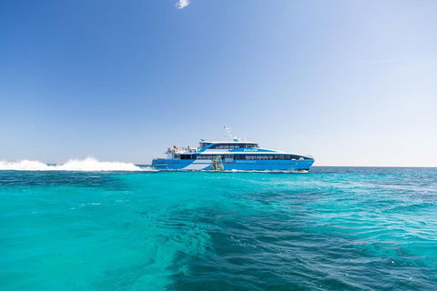 Fremantle To Rottnest Island Roundtrip Ferry Ticket - Palm Beach Accommodation 0