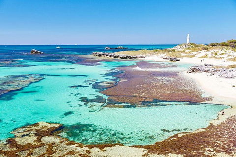 Fremantle To Rottnest Island Roundtrip Ferry Ticket - Palm Beach Accommodation 2