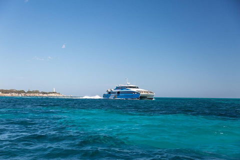 Fremantle To Rottnest Island Roundtrip Ferry Ticket - Palm Beach Accommodation 5