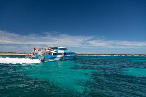 Rottnest Island All-Inclusive Grand Island Tour From Fremantle - Palm Beach Accommodation 3