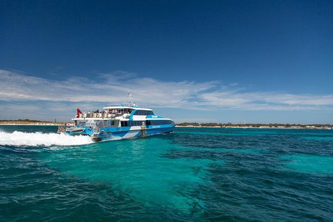 Rottnest Island Bike & Ferry Package From Fremantle - Palm Beach Accommodation 4