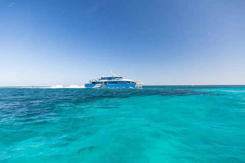 Rottnest Island Fortress Adventure Segway Package From Fremantle - Palm Beach Accommodation 0