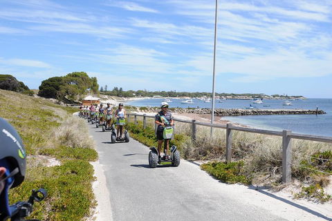 Rottnest Island Fortress Adventure Segway Package From Fremantle - Palm Beach Accommodation 3
