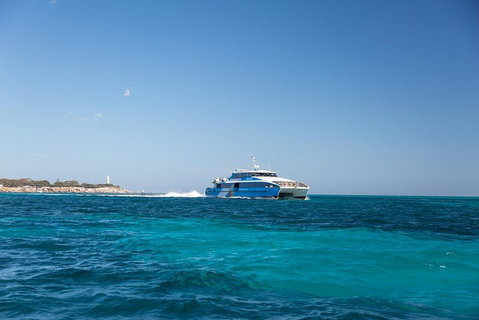 Rottnest Island Bike & Ferry Package From Perth - Palm Beach Accommodation 2