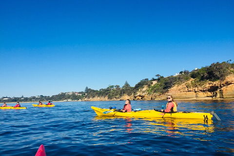 Mornington Peninsula Kayak Coastline Tour Of Dolphin Sanctuary - Palm Beach Accommodation 1