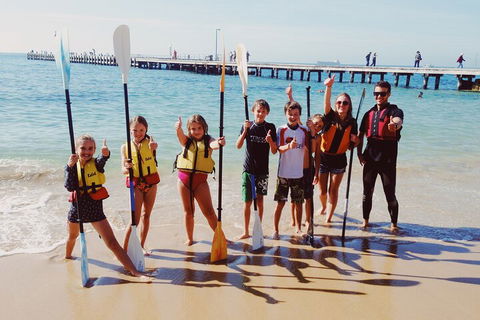 Mornington Peninsula Kayak Coastline Tour Of Dolphin Sanctuary - Palm Beach Accommodation 3