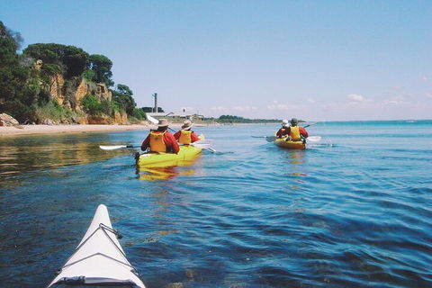 Mornington Peninsula Kayak Coastline Tour Of Dolphin Sanctuary - Palm Beach Accommodation 5