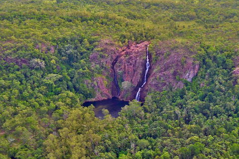 Litchfield Park Scenic Flight From Darwin - Palm Beach Accommodation 1