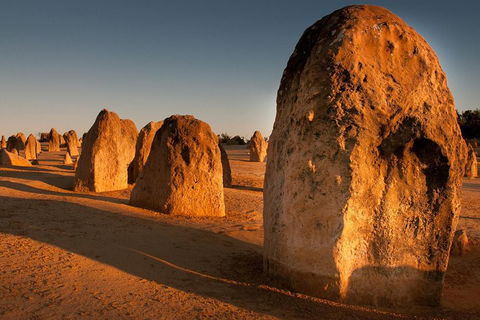 Wave Rock And Pinnacles Air & Ground Tour - Palm Beach Accommodation 1