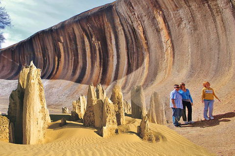 Wave Rock And Pinnacles Air & Ground Tour - Palm Beach Accommodation 2