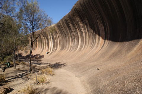 Wave Rock And Pinnacles Air & Ground Tour - Palm Beach Accommodation 5