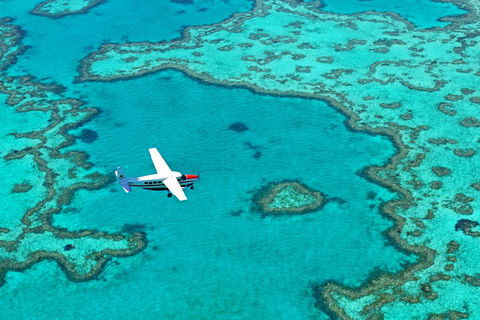 Reef And Island Scenic Flight From Airlie Beach - Palm Beach Accommodation 4