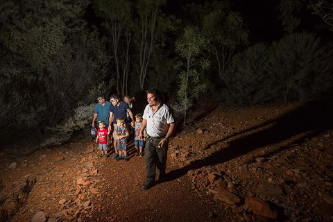 Alice Springs Desert Park Nocturnal Tour - Palm Beach Accommodation 0