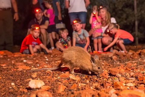 Alice Springs Desert Park Nocturnal Tour - Palm Beach Accommodation 1