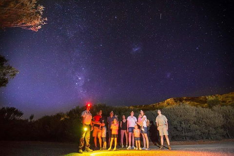Alice Springs Desert Park Nocturnal Tour - Palm Beach Accommodation 2