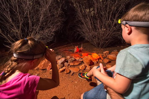 Alice Springs Desert Park Nocturnal Tour - Palm Beach Accommodation 4