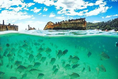 Adventure Moreton Island Day Pass - Palm Beach Accommodation 4