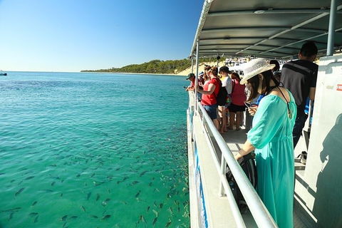 Adventure Moreton Island Wrecks Adventure Package - Palm Beach Accommodation 1