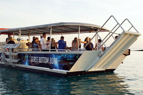 Adventure Moreton Island Wrecks Adventure Package - Palm Beach Accommodation 4