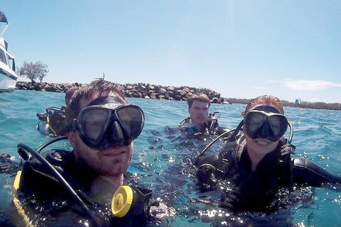 Wave Break Island Scuba Diving On The Gold Coast - Palm Beach Accommodation 0