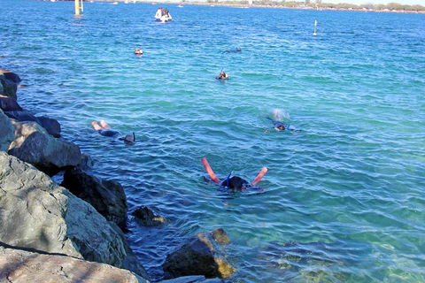 Wave Break Island Scuba Diving On The Gold Coast - Palm Beach Accommodation 1
