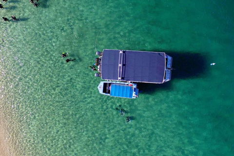 Wave Break Island Scuba Diving On The Gold Coast - Palm Beach Accommodation 2