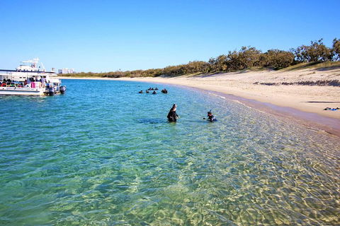 Wave Break Island Scuba Diving On The Gold Coast - Palm Beach Accommodation 4