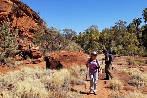 Palm Valley And Hermannsburg 1 Day 4WD Tour - Palm Beach Accommodation 1