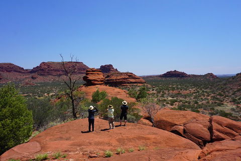 Palm Valley And Hermannsburg 1 Day 4WD Tour - Palm Beach Accommodation 2