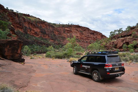 Palm Valley And Hermannsburg 1 Day 4WD Tour - Palm Beach Accommodation 5