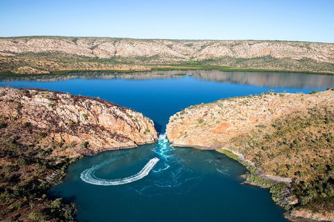 Buccaneer Explorer - Palm Beach Accommodation 4