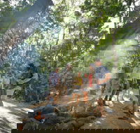 Mossman Gorge Adventure Day - Palm Beach Accommodation