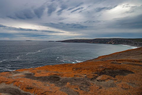 Kangaroo Island Luxury Small Group 'Flinders Chase Focus' Full Day Tour - Palm Beach Accommodation 0