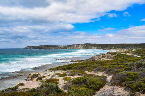 Kangaroo Island Luxury Small Group 'East End Explorer' Full Day Tour - Palm Beach Accommodation 0