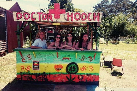 Byron Surrounds: Nimbin Waterfall Adventure - Swimming Tour - Palm Beach Accommodation 5