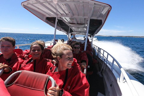 Adventure Rottnest Tour With Ferry & Adventure Cruise From Perth Or Fremantle - Palm Beach Accommodation 0