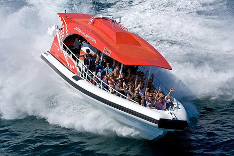 Adventure Rottnest Tour With Ferry & Adventure Cruise From Perth Or Fremantle - Palm Beach Accommodation 2