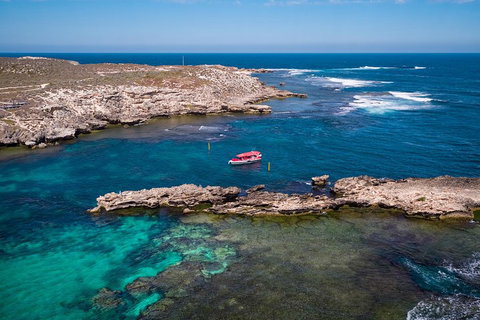Adventure Rottnest Tour With Ferry & Adventure Cruise From Perth Or Fremantle - Palm Beach Accommodation 3