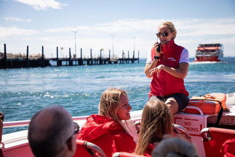 Adventure Rottnest Tour With Ferry & Adventure Cruise From Perth Or Fremantle - Palm Beach Accommodation 4