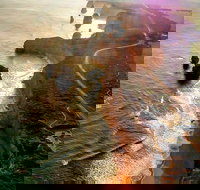 Full-Day Great Ocean Road and 12 Apostles Sunset Tour from Melbourne - Palm Beach Accommodation