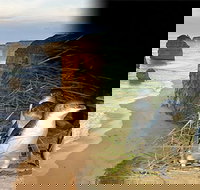 Melbourne Super Saver Great Ocean Road  Phillip Island  Attraction Pass - Palm Beach Accommodation