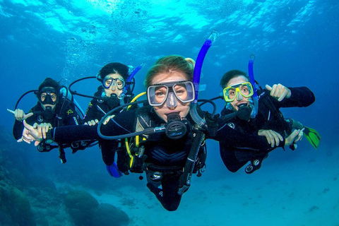 Great Barrier Reef Diving And Snorkeling Cruise From Cairns - Palm Beach Accommodation 0