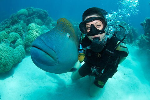 Great Barrier Reef Diving And Snorkeling Cruise From Cairns - Palm Beach Accommodation 2