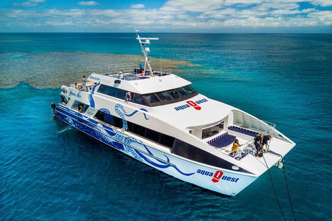 Great Barrier Reef Diving And Snorkeling Cruise From Cairns - Palm Beach Accommodation 5