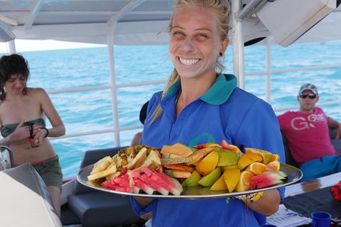 Ocean Free Green Island & Great Barrier Reef Snorkel Cruise, Cairns 25 Guests - Palm Beach Accommodation 1
