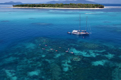 Ocean Free Green Island & Great Barrier Reef Snorkel Cruise, Cairns 25 Guests - Palm Beach Accommodation 2