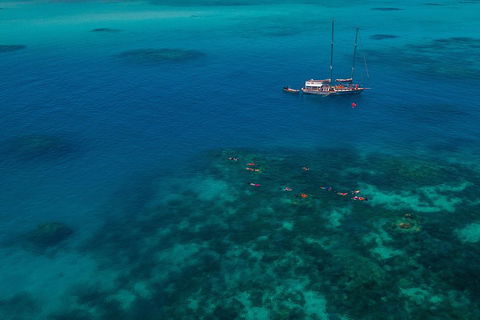 Ocean Free Green Island & Great Barrier Reef Snorkel Cruise, Cairns 25 Guests - Palm Beach Accommodation 5