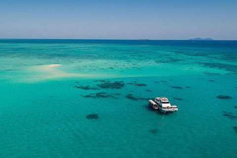 Ocean Freedom Great Barrier Reef Personal Luxury Snorkel & Dive Cruise, Cairns - Palm Beach Accommodation 2