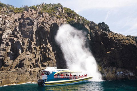 Full-Day Bruny Island Cruises Day Tour From Hobart - Palm Beach Accommodation 4